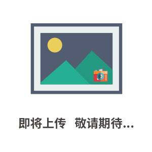 Aesthetix 全外观测量系统